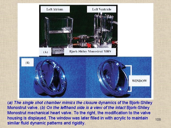 (a) The single shot chamber mimics the closure dynamics of the Bjork-Shiley Monostrut valve.