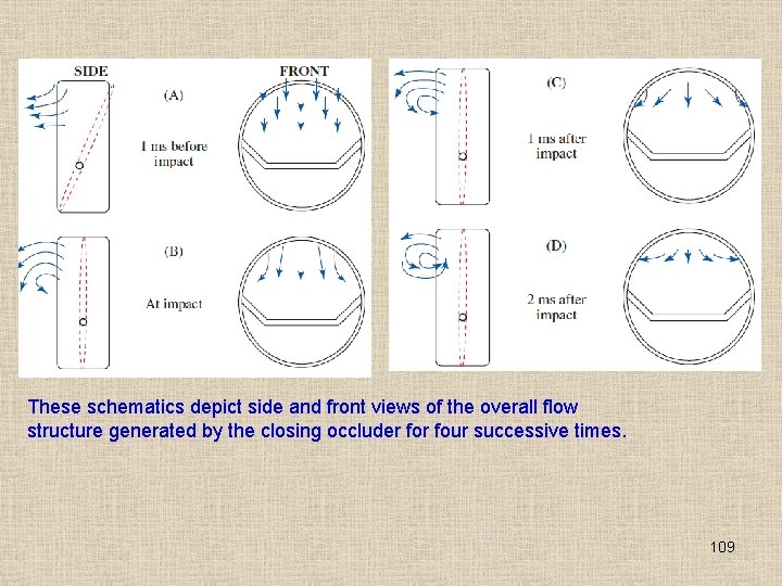These schematics depict side and front views of the overall flow structure generated by These schematics depict side and front views of the overall flow structure generated by