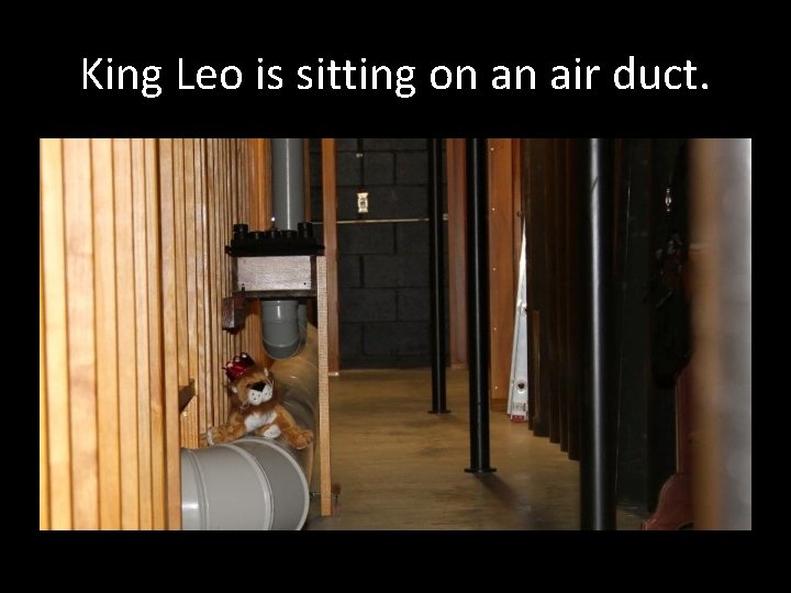 King Leo is sitting on an air duct. 