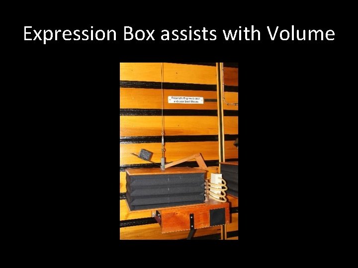 Expression Box assists with Volume 