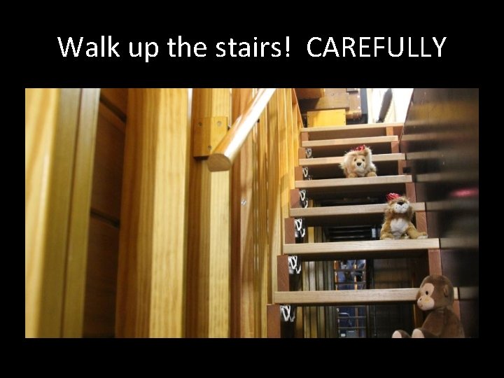 Walk up the stairs! CAREFULLY 