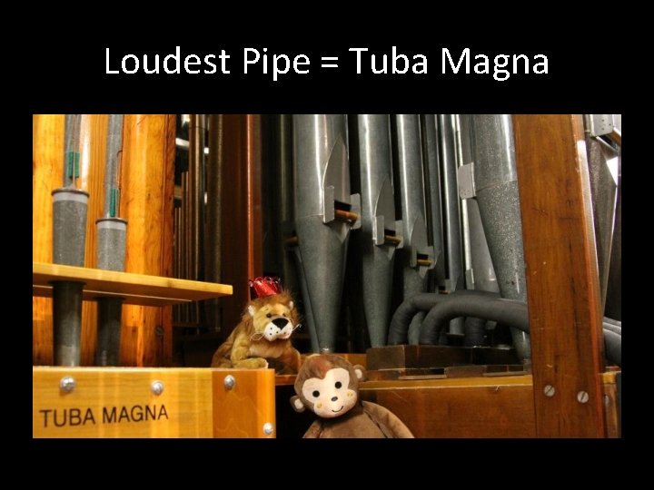 Loudest Pipe = Tuba Magna 