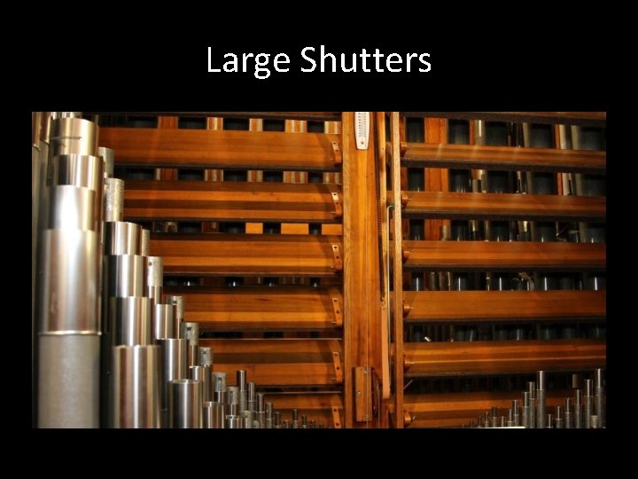 Large Shutters 
