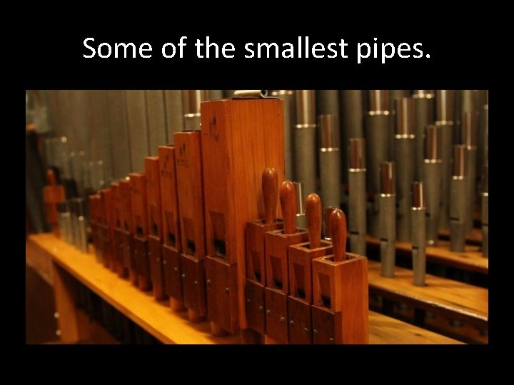 Some of the smallest pipes. 