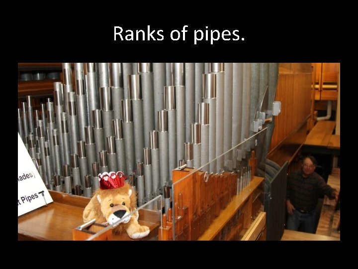 Ranks of pipes. 