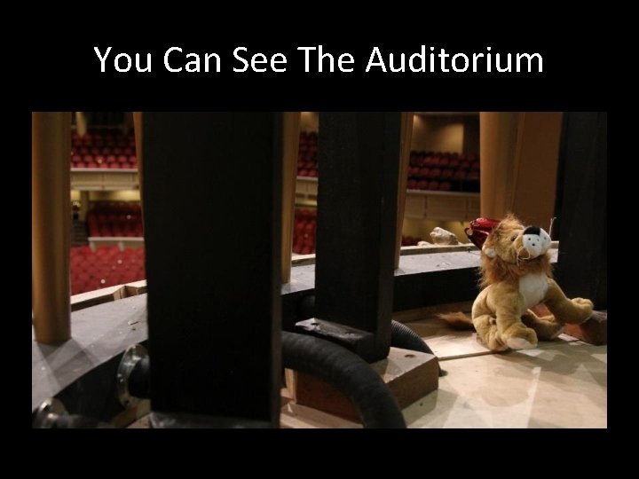 You Can See The Auditorium 