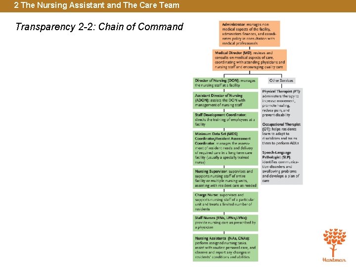 2 The Nursing Assistant and The Care Team Transparency 2 -2: Chain of Command
