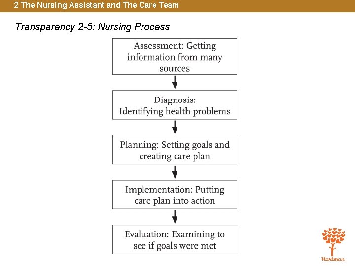 2 The Nursing Assistant and The Care Team Transparency 2 -5: Nursing Process 