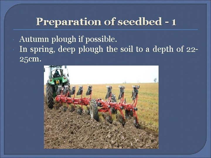 Preparation of seedbed - 1 Autumn plough if possible. In spring, deep plough the