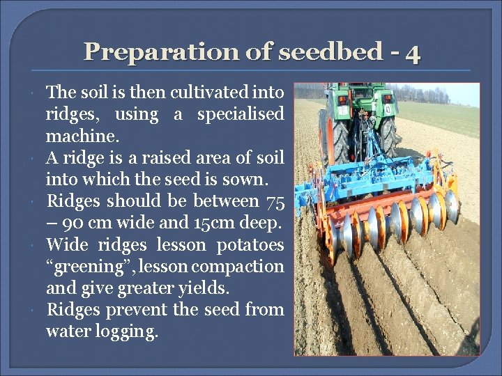Preparation of seedbed - 4 The soil is then cultivated into ridges, using a