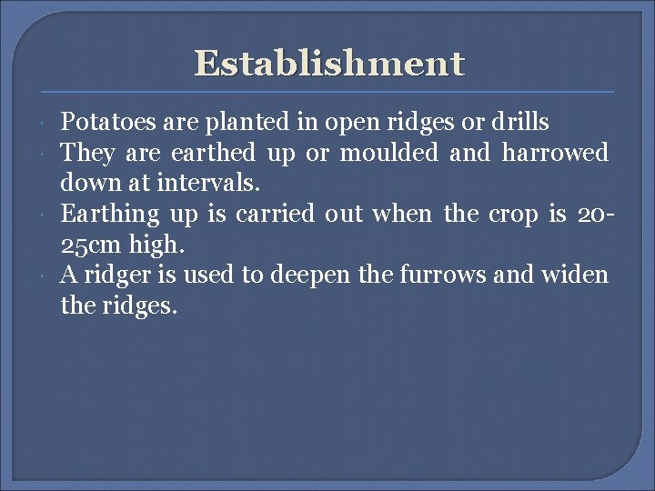Establishment Potatoes are planted in open ridges or drills They are earthed up or