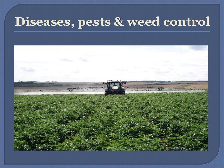 Diseases, pests & weed control 
