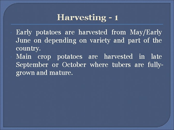 Harvesting - 1 Early potatoes are harvested from May/Early June on depending on variety