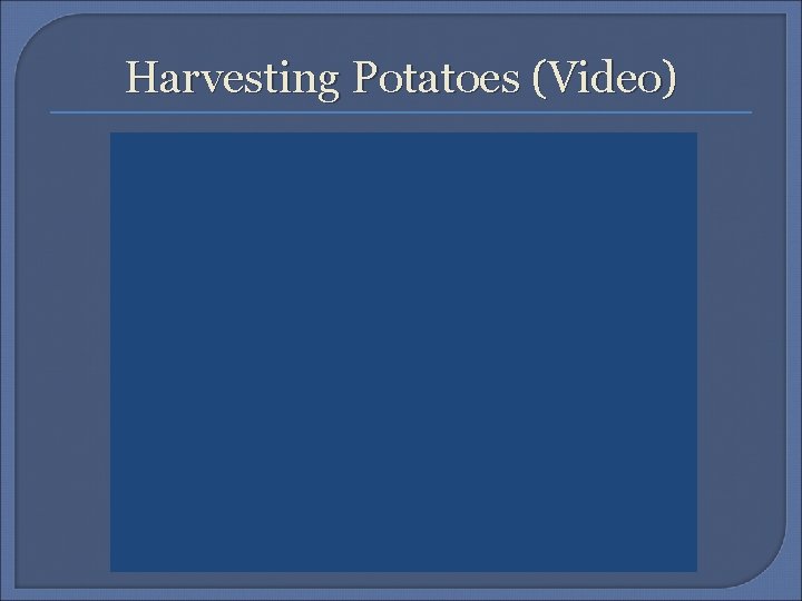 Harvesting Potatoes (Video) 