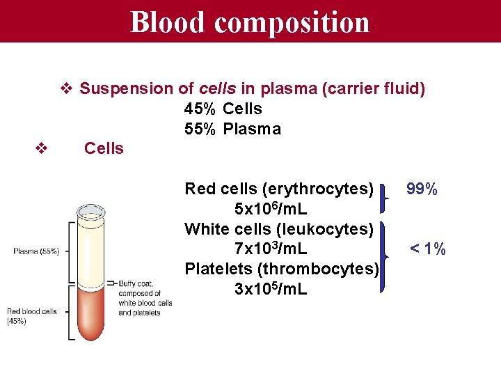 Blood composition v Suspension of cells in plasma (carrier fluid) 45% Cells 55% Plasma
