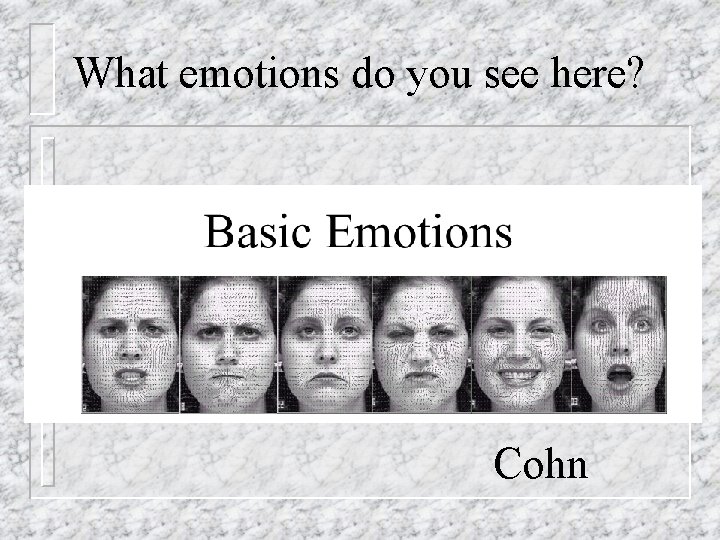 What emotions do you see here? Cohn What emotions do you see here? Cohn