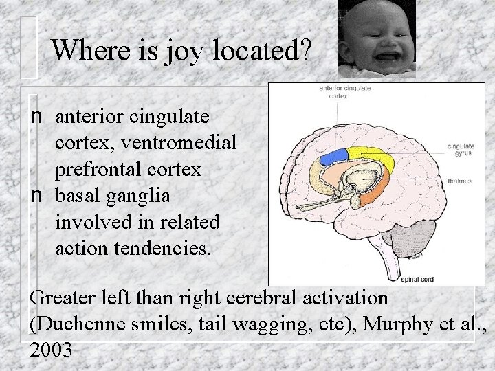 Where is joy located? n anterior cingulate cortex, ventromedial prefrontal cortex n basal ganglia Where is joy located? n anterior cingulate cortex, ventromedial prefrontal cortex n basal ganglia