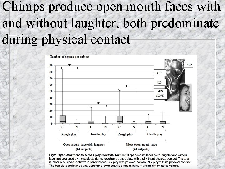 Chimps produce open mouth faces with and without laughter, both predominate during physical contact Chimps produce open mouth faces with and without laughter, both predominate during physical contact