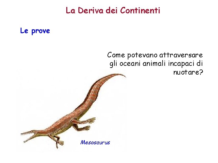 La Deriva dei Continenti Le prove Come potevano attraversare gli oceani animali incapaci di La Deriva dei Continenti Le prove Come potevano attraversare gli oceani animali incapaci di