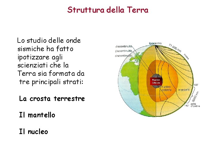Struttura della Terra Lo studio delle onde sismiche ha fatto ipotizzare agli scienziati che Struttura della Terra Lo studio delle onde sismiche ha fatto ipotizzare agli scienziati che