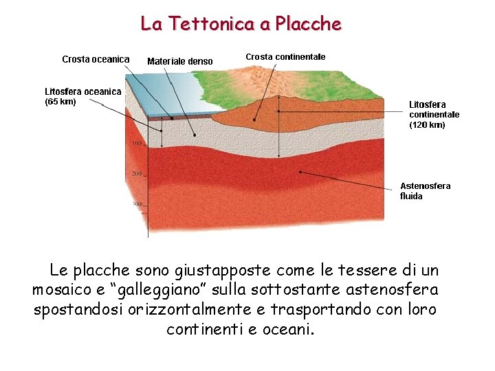 La Tettonica a Placche Le placche sono giustapposte come le tessere di un mosaico La Tettonica a Placche Le placche sono giustapposte come le tessere di un mosaico