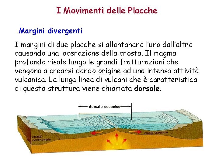 I Movimenti delle Placche Margini divergenti I margini di due placche si allontanano l’uno I Movimenti delle Placche Margini divergenti I margini di due placche si allontanano l’uno