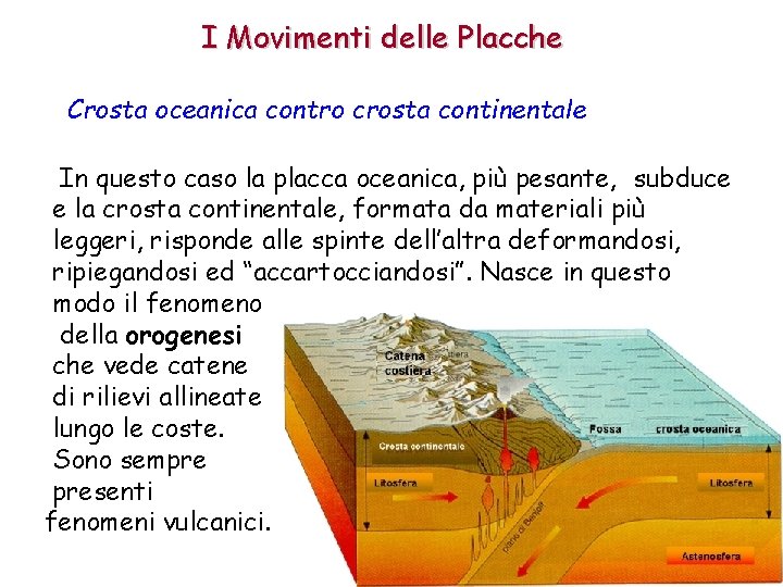 I Movimenti delle Placche Crosta oceanica contro crosta continentale In questo caso la placca I Movimenti delle Placche Crosta oceanica contro crosta continentale In questo caso la placca