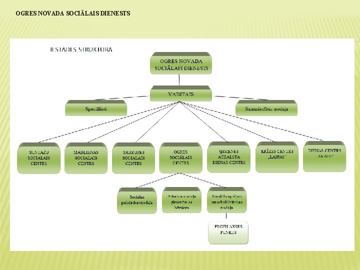 OGRES NOVADA SOCIĀLAIS DIENESTS 