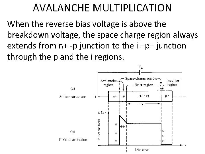 AVALANCHE MULTIPLICATION When the reverse bias voltage is above the breakdown voltage, the space