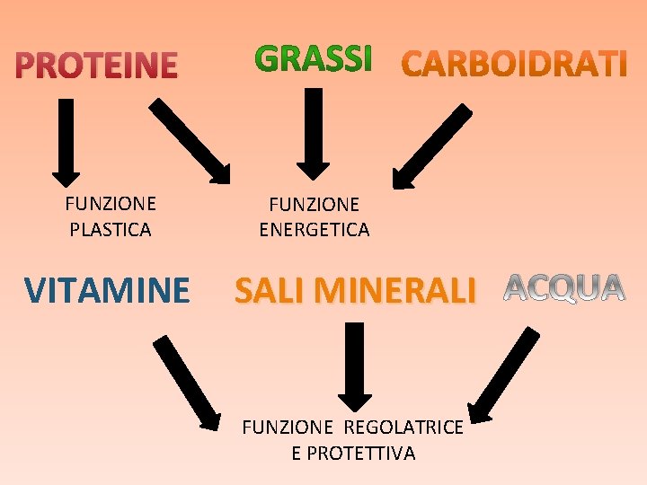 PROTEINE FUNZIONE PLASTICA VITAMINE FUNZIONE ENERGETICA SALI MINERALI ACQUA FUNZIONE REGOLATRICE E PROTETTIVA PROTEINE FUNZIONE PLASTICA VITAMINE FUNZIONE ENERGETICA SALI MINERALI ACQUA FUNZIONE REGOLATRICE E PROTETTIVA
