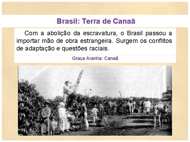  Brasil: Terra de Canaã Com a abolição da escravatura, o Brasil passou a
