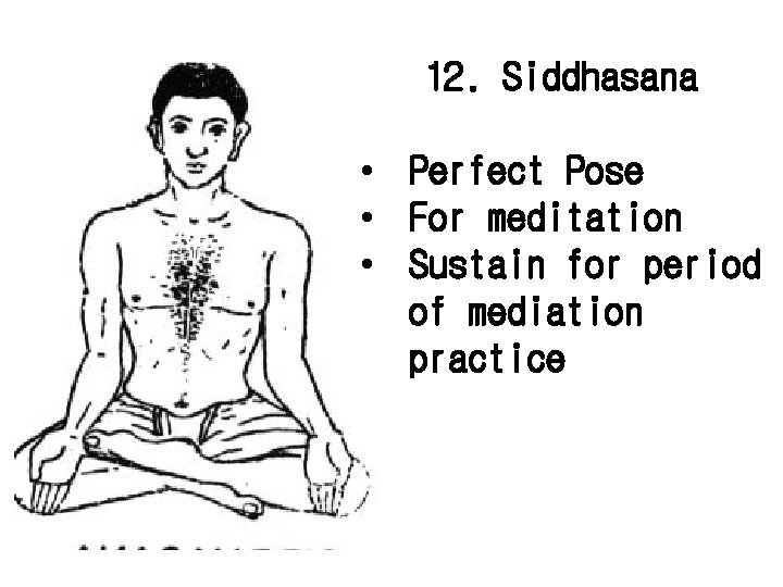 12. Siddhasana • Perfect Pose • For meditation • Sustain for period of mediation