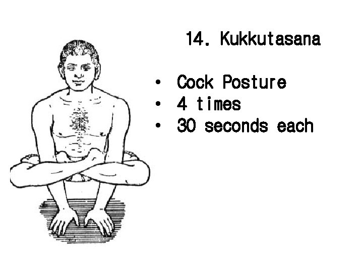 14. Kukkutasana • Cock Posture • 4 times • 30 seconds each 