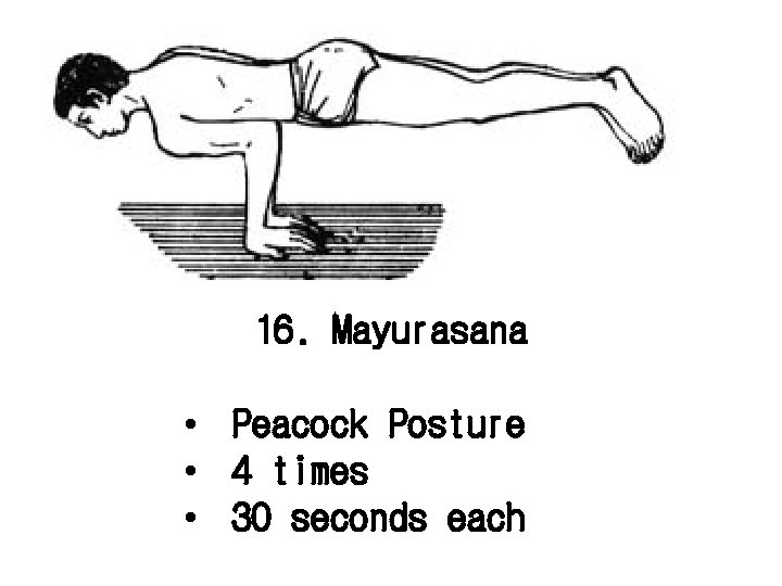 16. Mayurasana • Peacock Posture • 4 times • 30 seconds each 