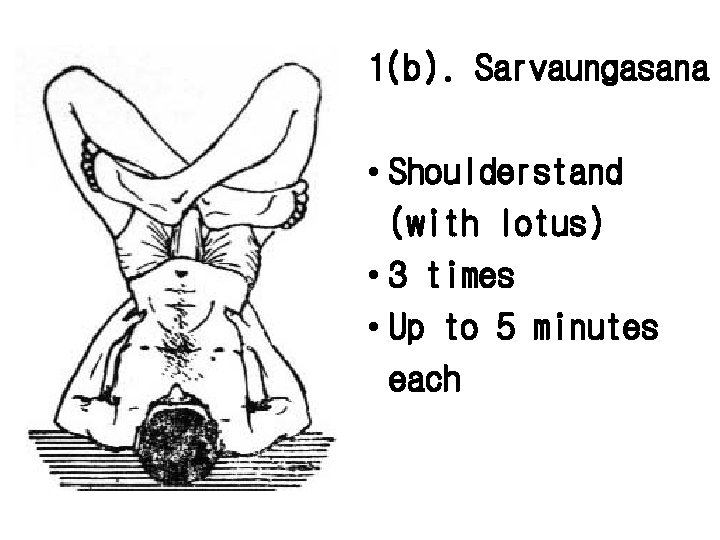 1(b). Sarvaungasana • Shoulderstand (with lotus) • 3 times • Up to 5 minutes