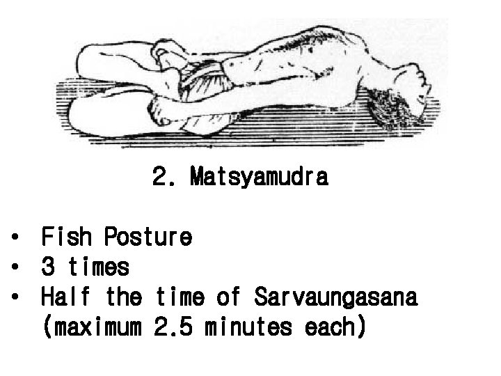 2. Matsyamudra • Fish Posture • 3 times • Half the time of Sarvaungasana