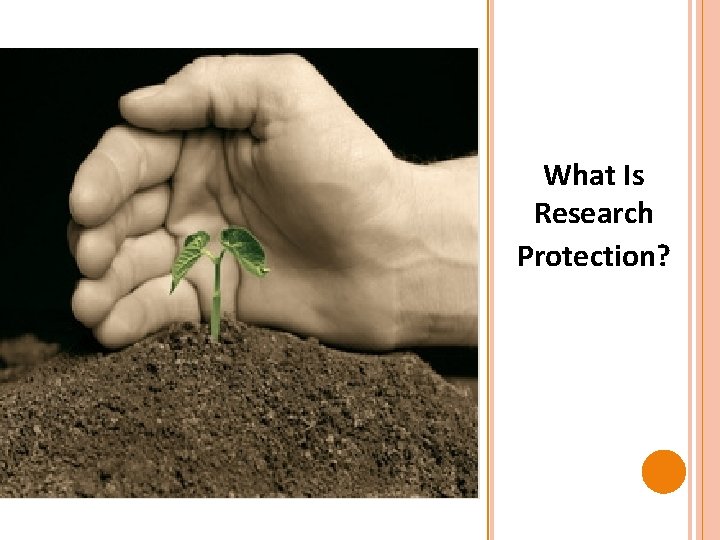 What Is Research Protection? 