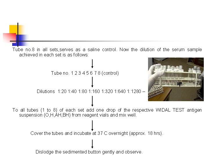 Tube no. 8 in all sets, serves as a saline control. Now the dilution