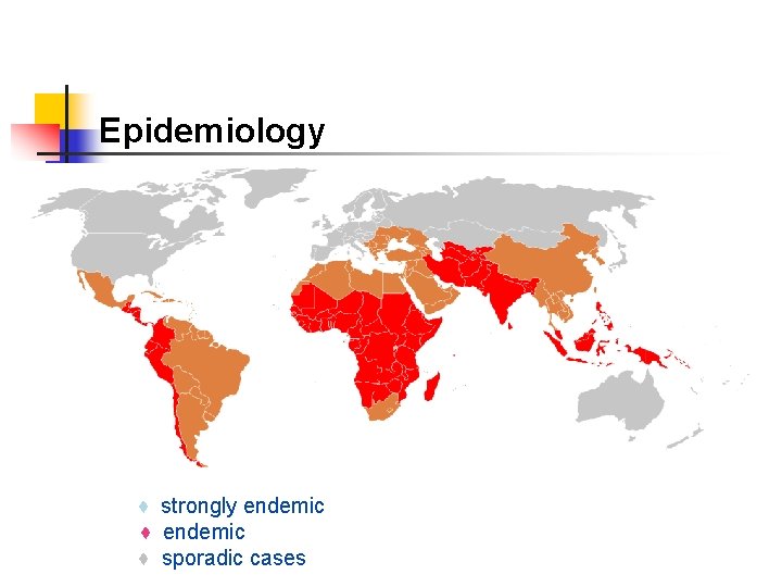 Epidemiology ♦ strongly endemic ♦ endemic ♦ sporadic cases 