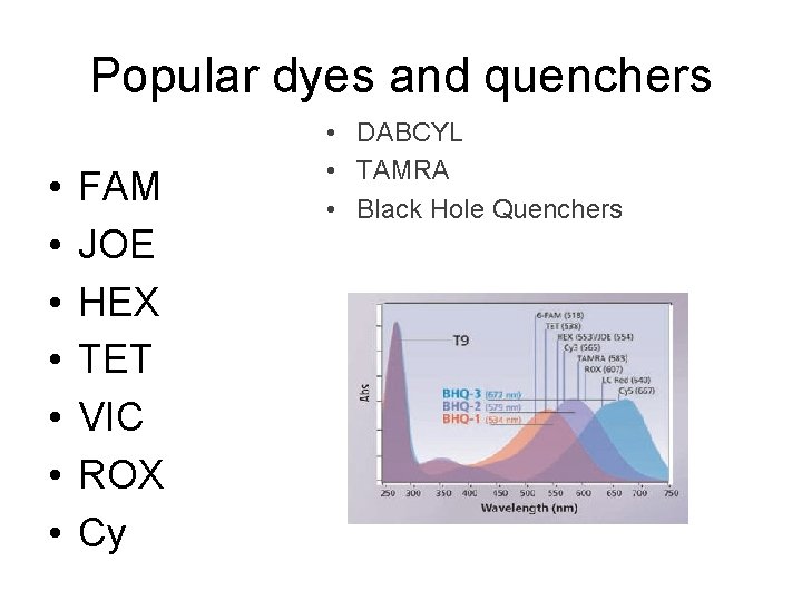 Popular dyes and quenchers • • FAM JOE HEX TET VIC ROX Cy •