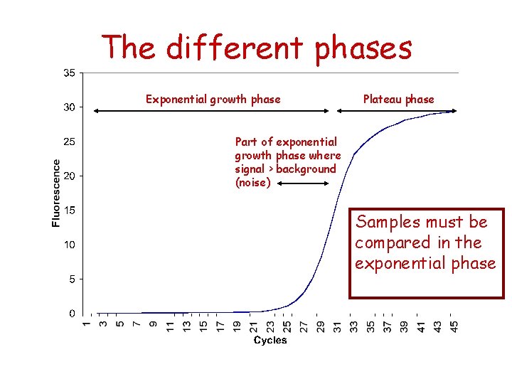 The different phases Exponential growth phase Plateau phase Part of exponential growth phase where