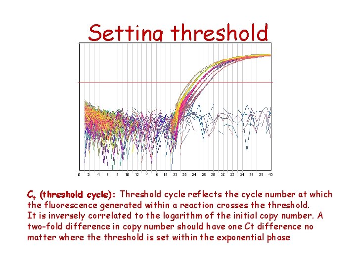 Setting threshold Ct (threshold cycle): Threshold cycle reflects the cycle number at which the