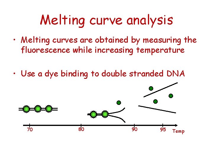 Melting curve analysis • Melting curves are obtained by measuring the fluorescence while increasing