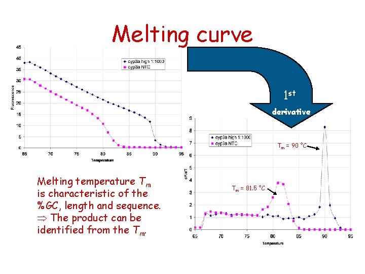 Melting curve 1 st derivative Tm = 90 °C Melting temperature Tm is characteristic