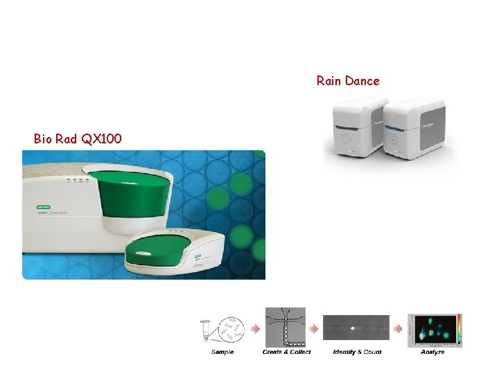 Rain Dance Bio Rad QX 100 