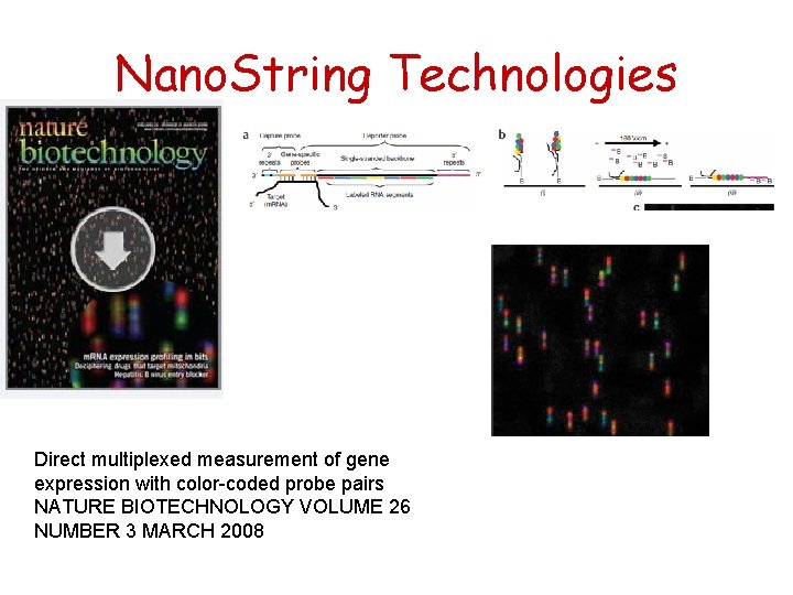 Nano. String Technologies Direct multiplexed measurement of gene expression with color-coded probe pairs NATURE