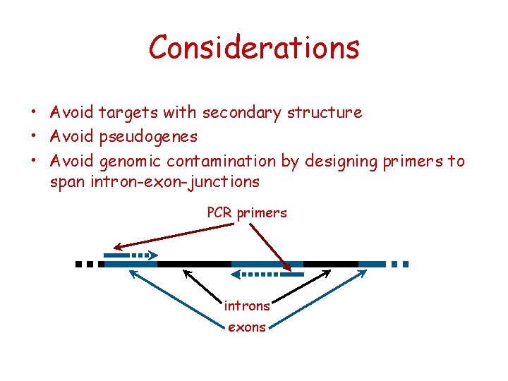 Considerations • Avoid targets with secondary structure • Avoid pseudogenes • Avoid genomic contamination