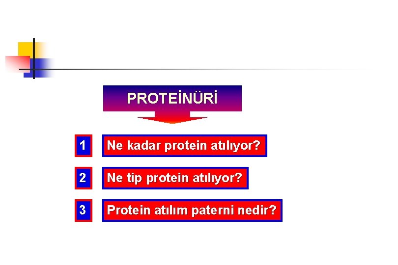 PROTEİNÜRİ 1 Ne kadar protein atılıyor? 2 Ne tip protein atılıyor? 3 Protein atılım