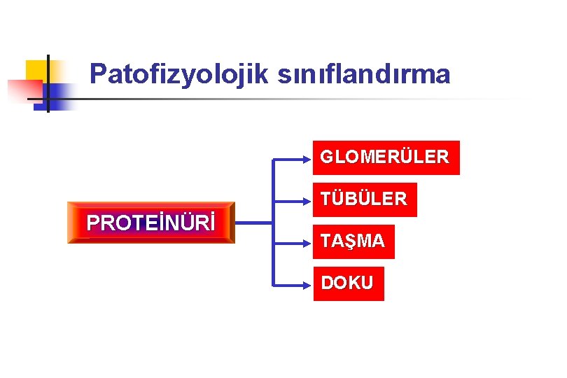 Patofizyolojik sınıflandırma GLOMERÜLER TÜBÜLER PROTEİNÜRİ TAŞMA DOKU 