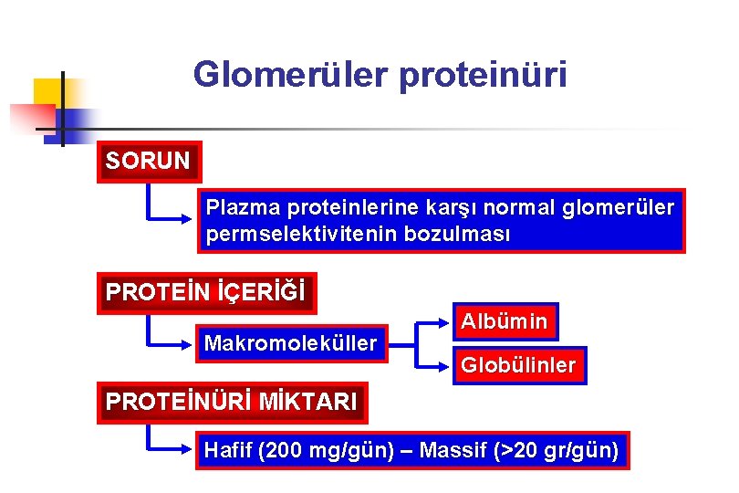 Glomerüler proteinüri SORUN Plazma proteinlerine karşı normal glomerüler permselektivitenin bozulması PROTEİN İÇERİĞİ Makromoleküller Albümin